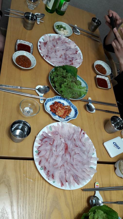 Blue Island Guesthouse Seogwipo Esterno foto