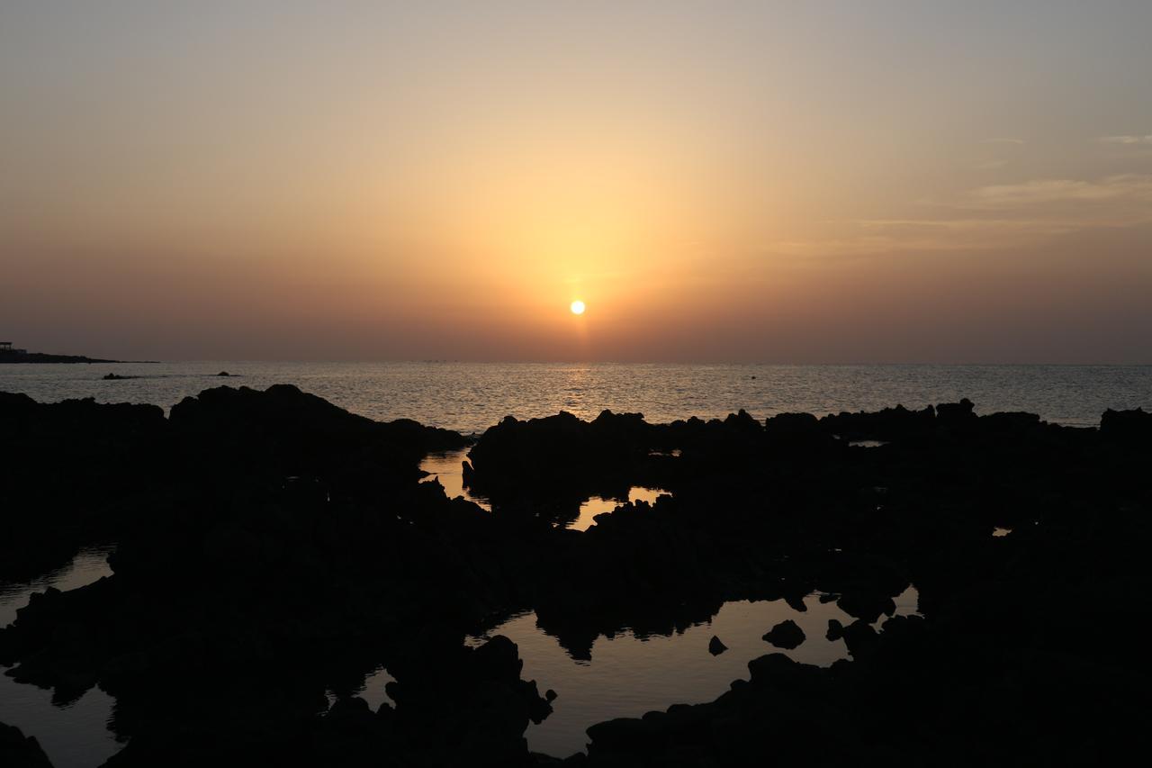 Blue Island Guesthouse Seogwipo Esterno foto