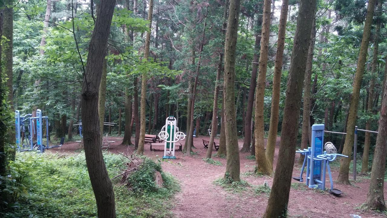 Blue Island Guesthouse Seogwipo Esterno foto